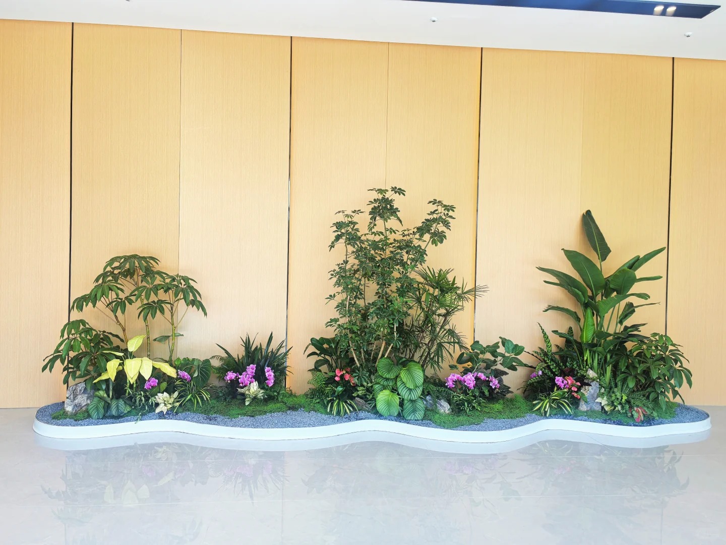 专业绿植出租，宁波余姚的绿色空间缔造者